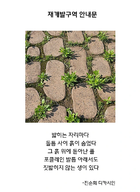 캡처11.PNG