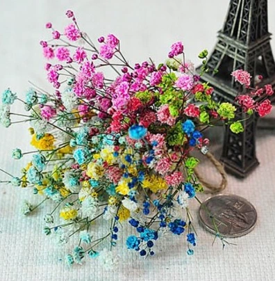 캡처-플라라 드라이플라워.PNG