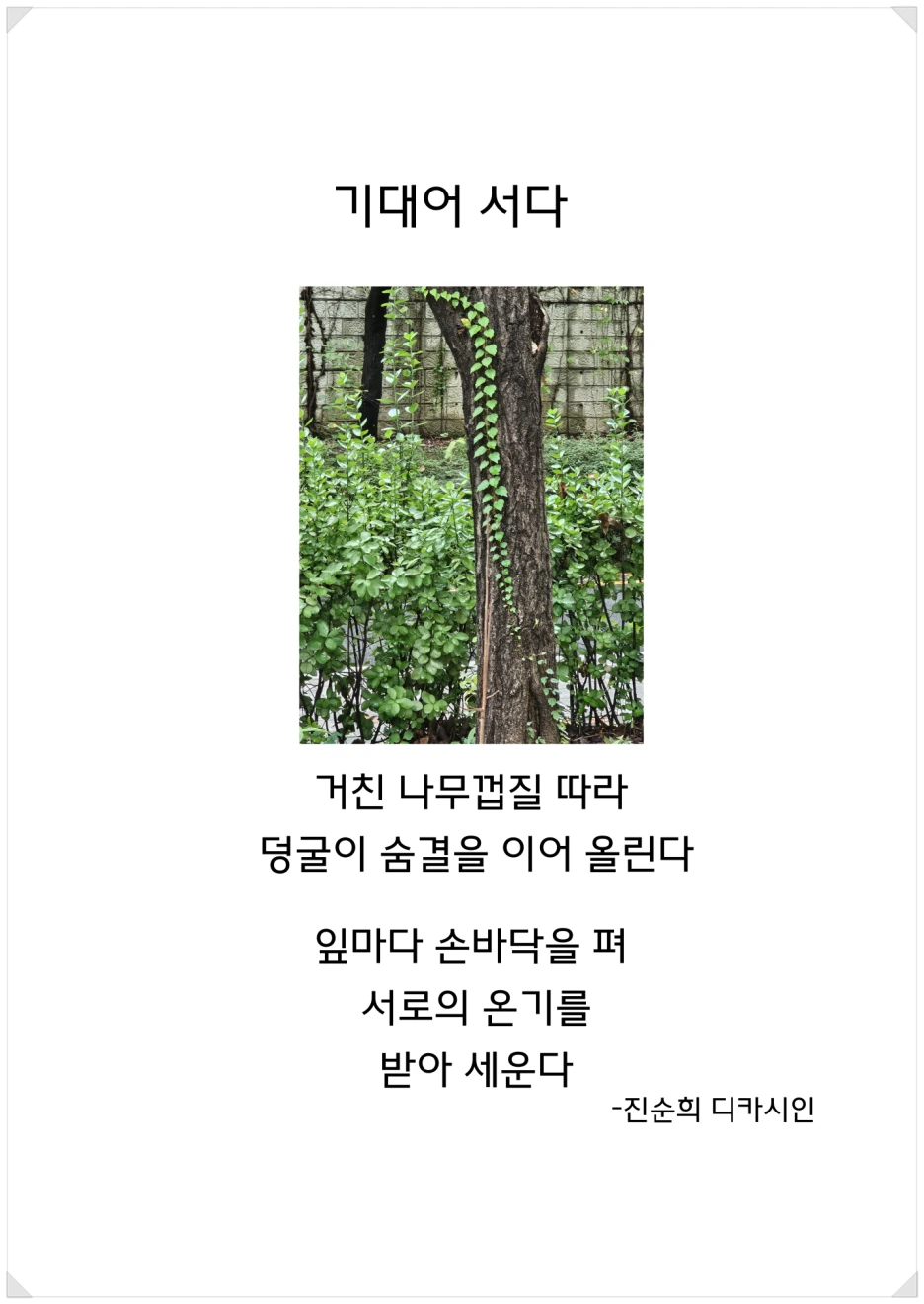 SE-cc46a51f-71f3-4e3c-8bbc-38bbd084290f.png?type=w1