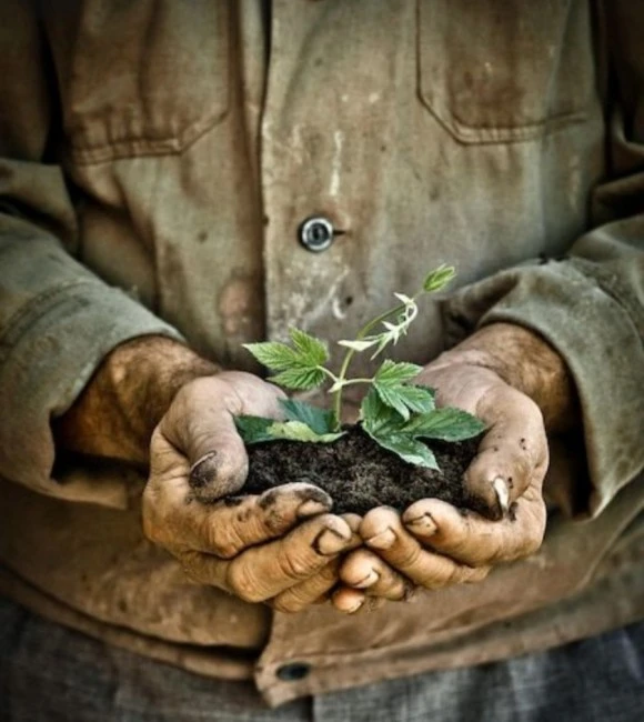 Screenshot%EF%BC%BF20231230%EF%BC%8D133358%EF%BC%BFPinterest.jpg?type=w580