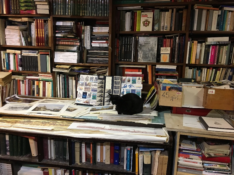 bookshop-1.JPG