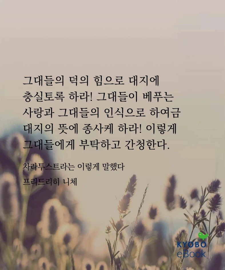 KakaoTalk_Photo_2025-08-05-15-57-48 005.jpeg