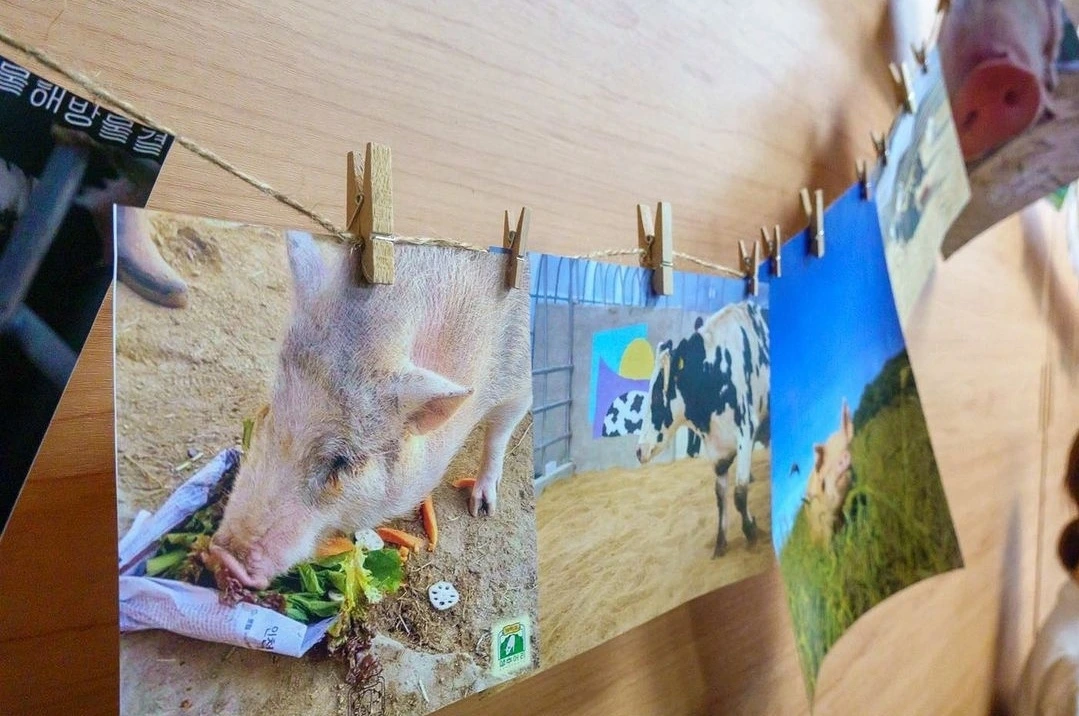 KakaoTalk_Photo_2023-10-14-02-14-45 003.jpeg