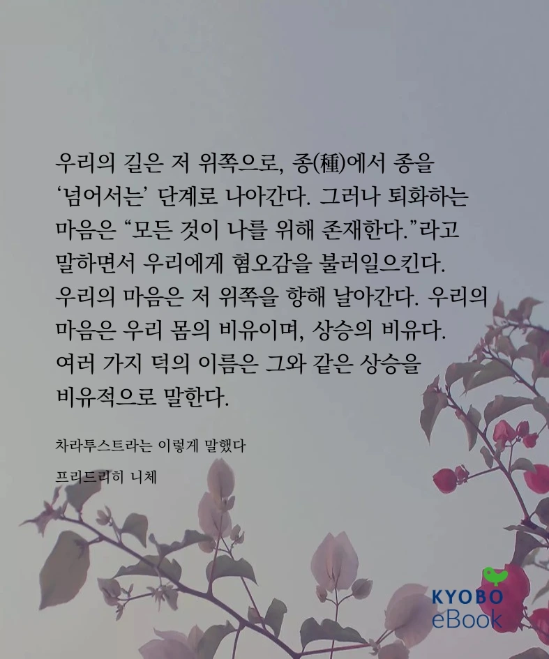 KakaoTalk_Photo_2025-08-05-15-57-48 004.jpeg