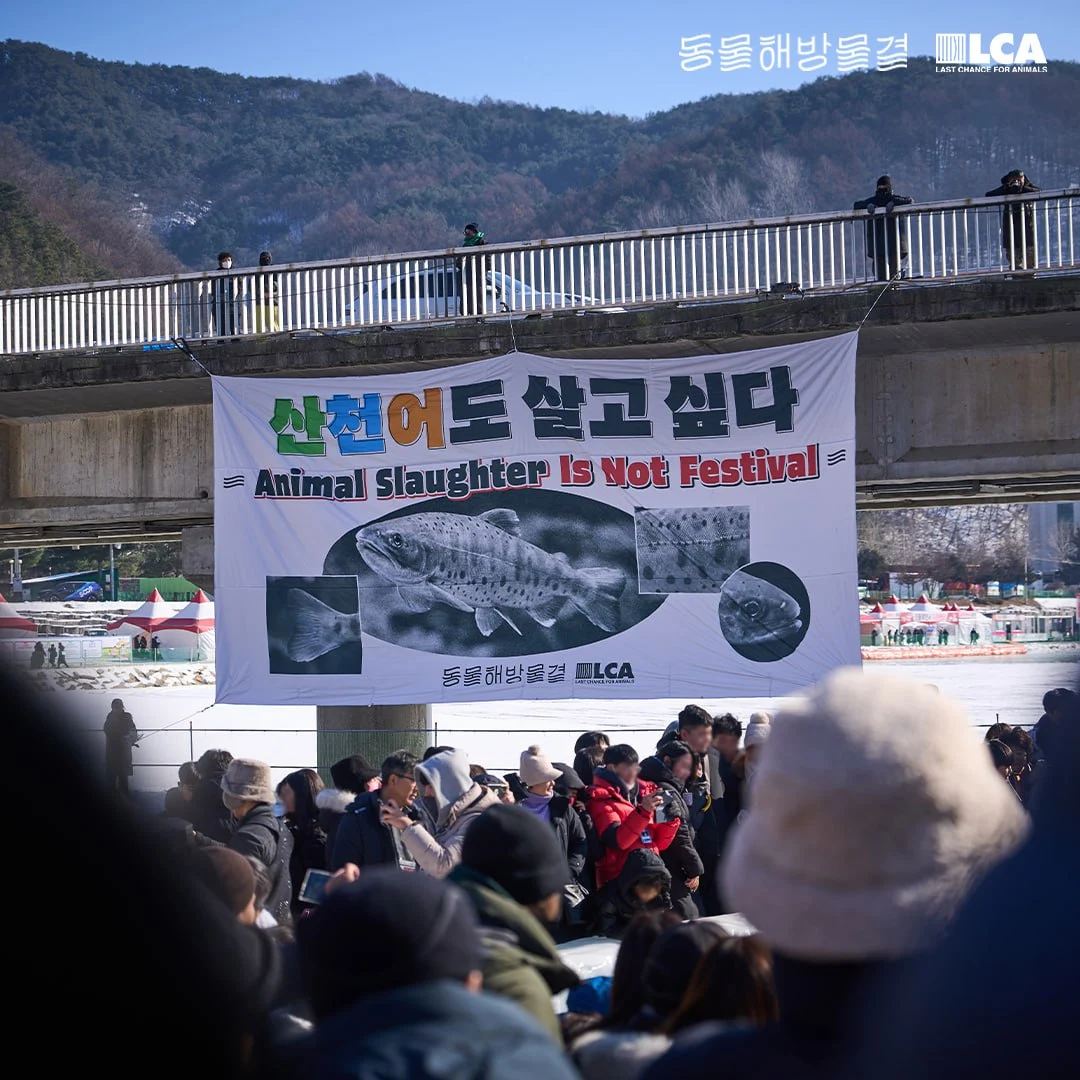 photo_2025-01-30 19.28.54.jpeg