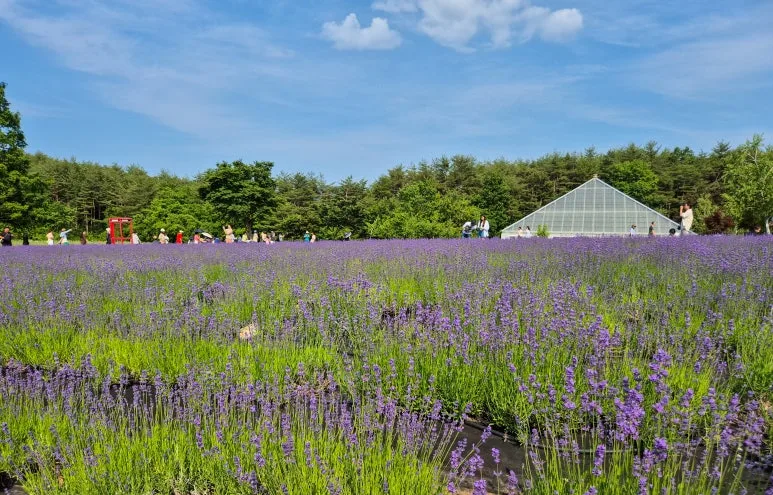 KakaoTalk_20240607_182528034_02.jpg?type=w773