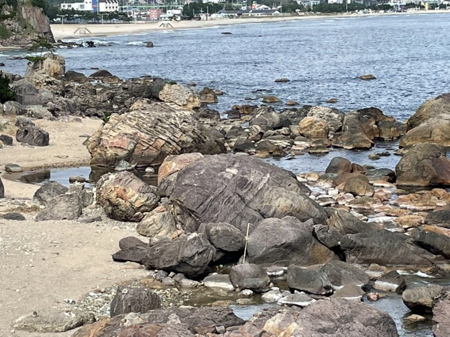 IMG_7711.jpg?type=w966