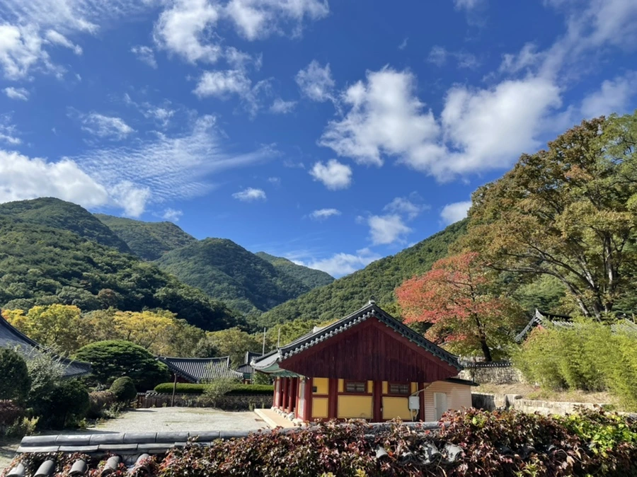 IMG_7722.jpg?type=w966