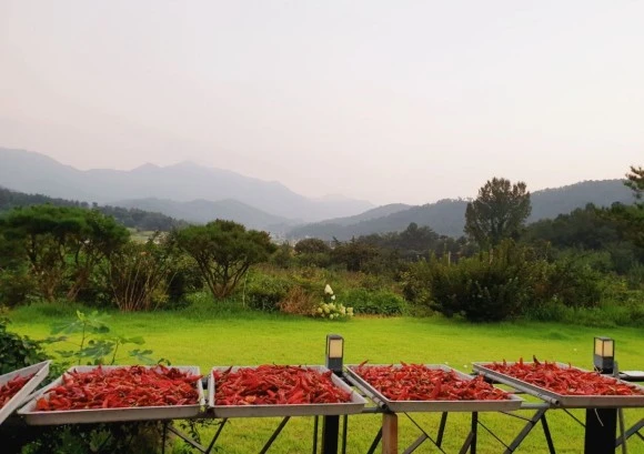 %EC%BA%A1%EC%B2%98.JPG?type=w580