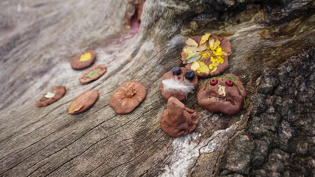 어린이를 위한.JPG