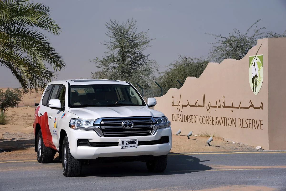 DSC_7866.jpg?type=w1200