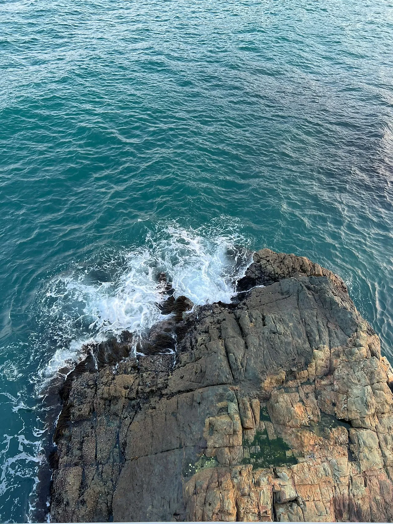 WhatsApp Image 2022-06-30 at 4.21.34 PM.jpeg