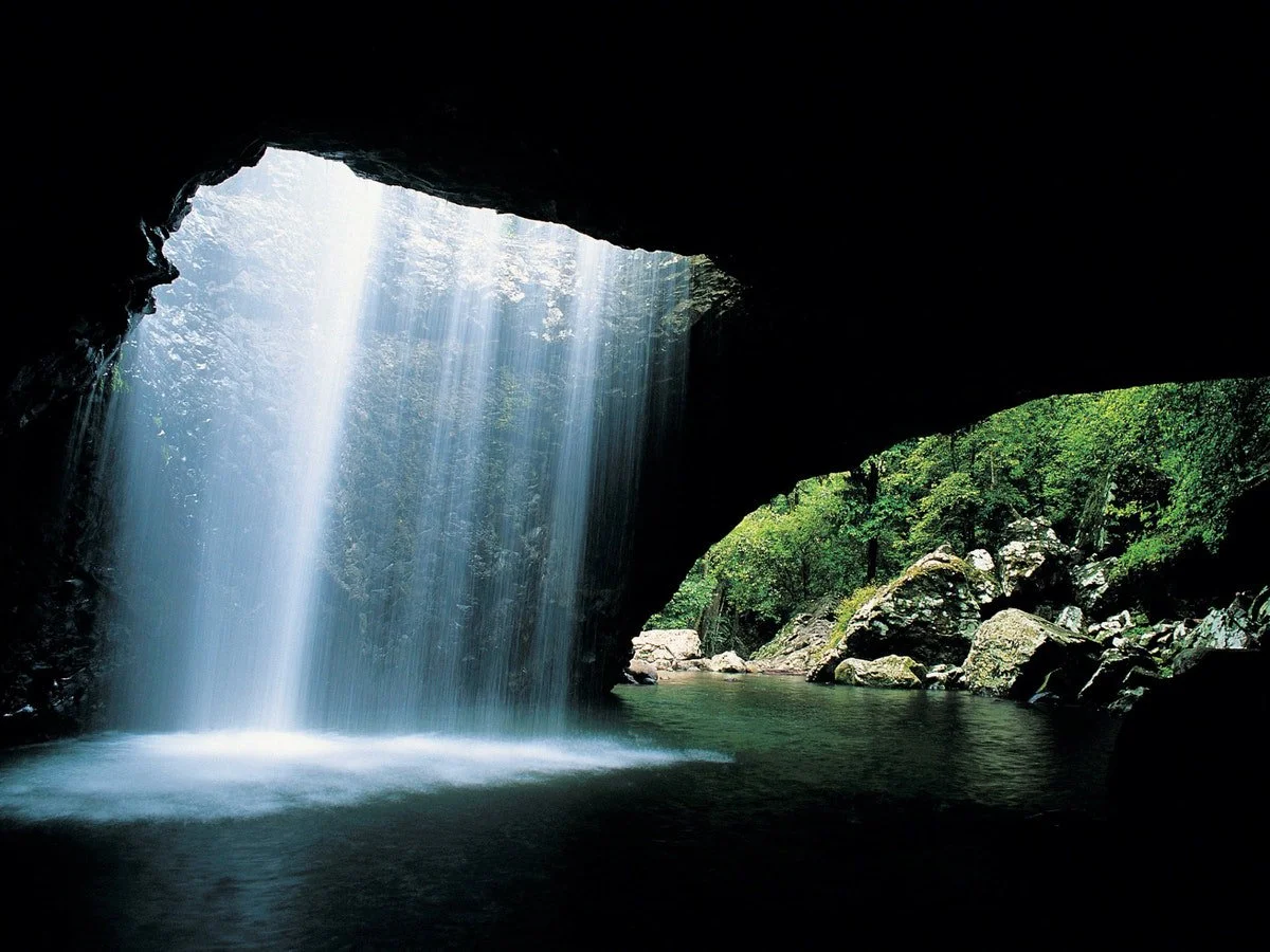 골드코스트반딧불투어 (1).jpeg