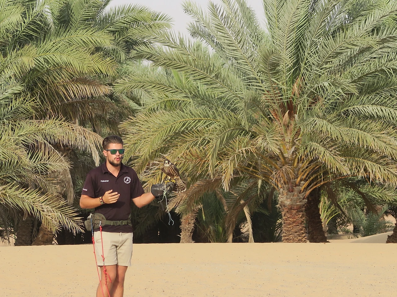 (2736) 2018.0425 두바이 오버나이트사파리-아라비안어드벤처.JPG