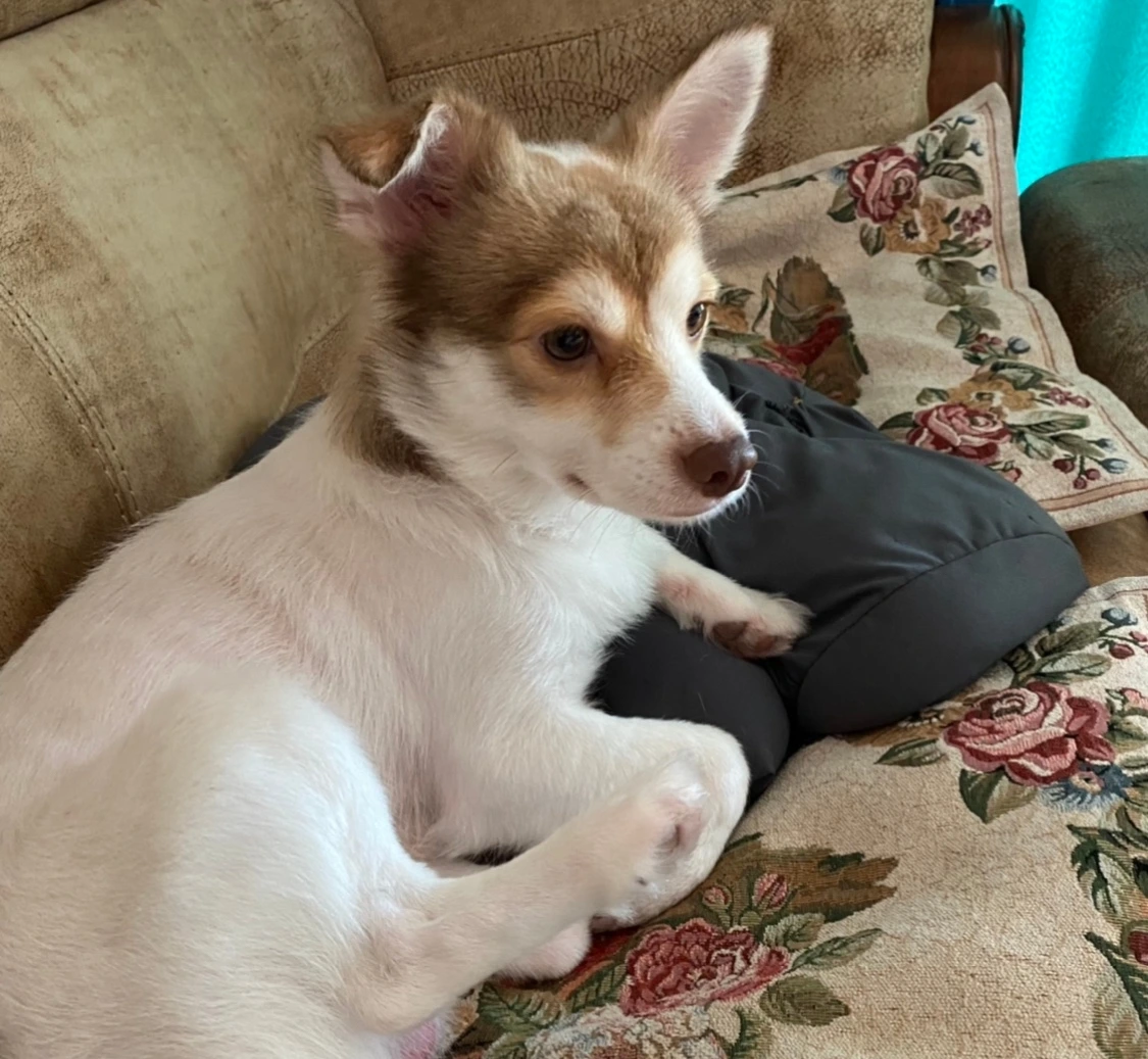 KakaoTalk_Photo_2023-03-02-20-38-55 007.jpeg