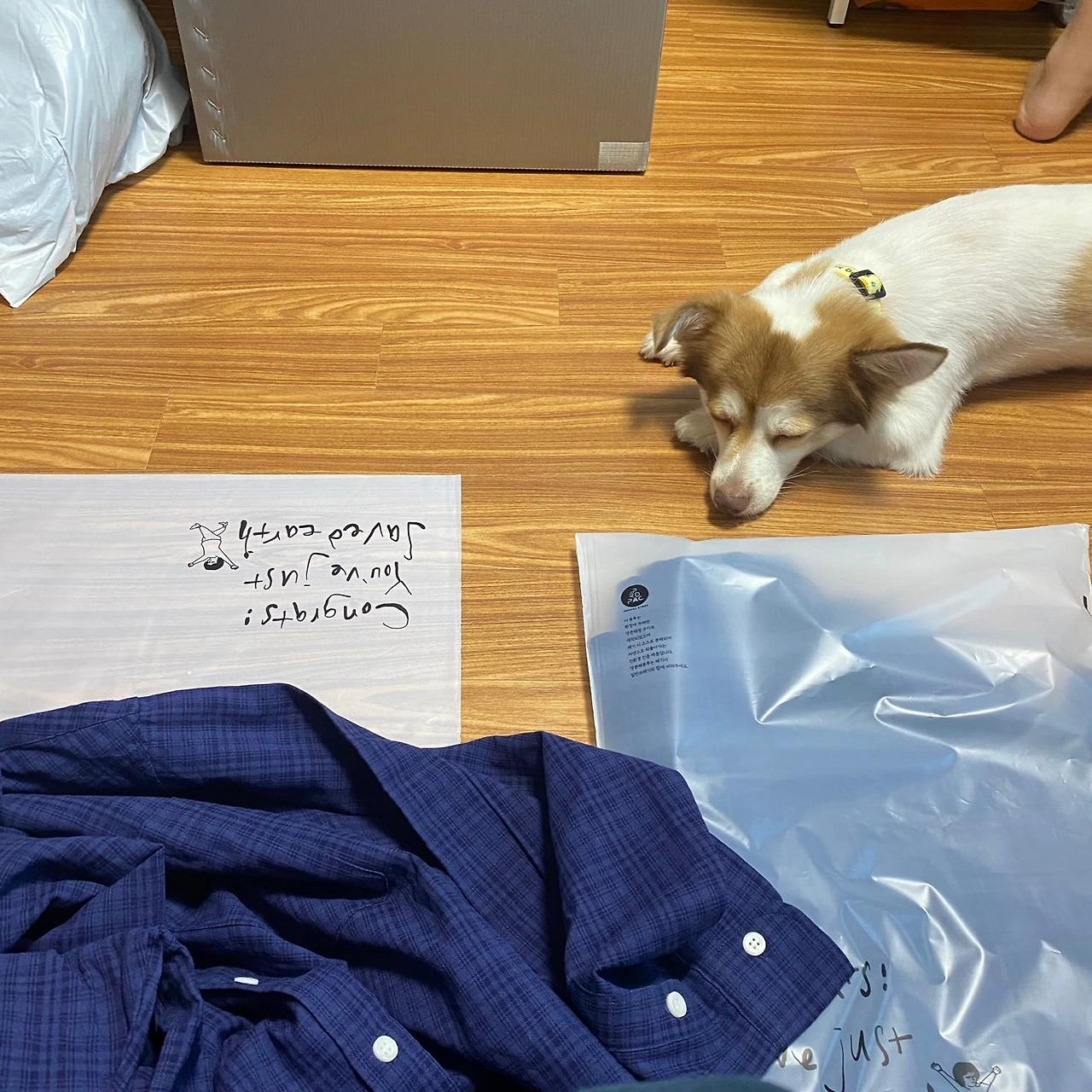 KakaoTalk_Photo_2024-09-20-11-45-48 005.jpeg