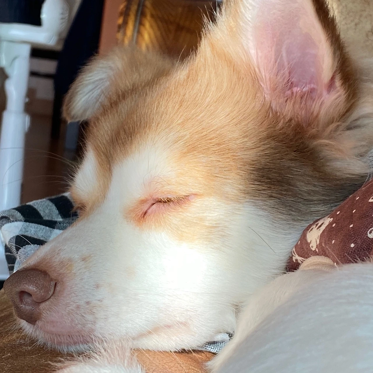 KakaoTalk_Photo_2023-03-02-20-38-54 001.jpeg