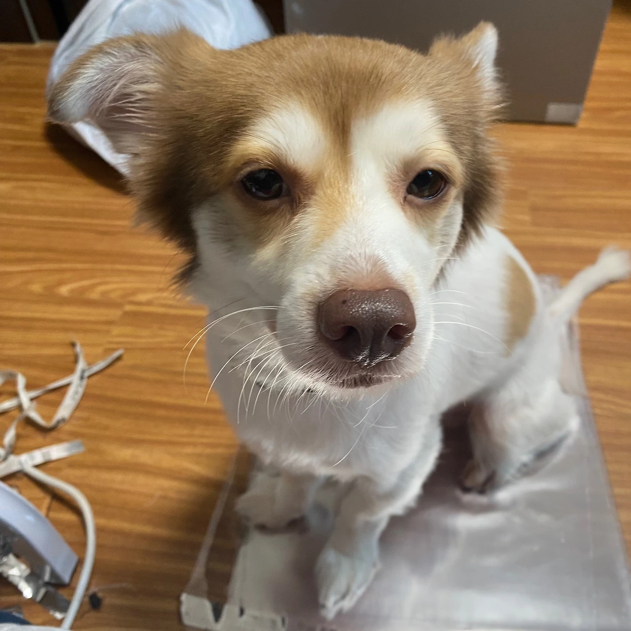 KakaoTalk_Photo_2024-09-20-11-45-48 003.jpeg