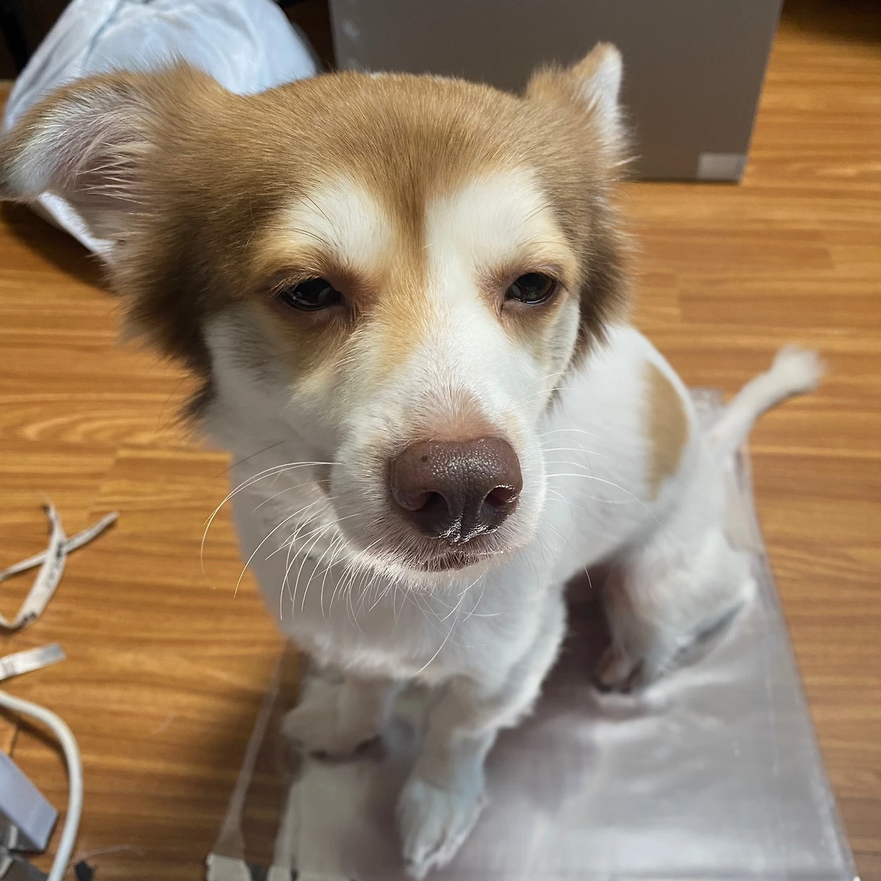 KakaoTalk_Photo_2024-09-20-11-45-48 004.jpeg