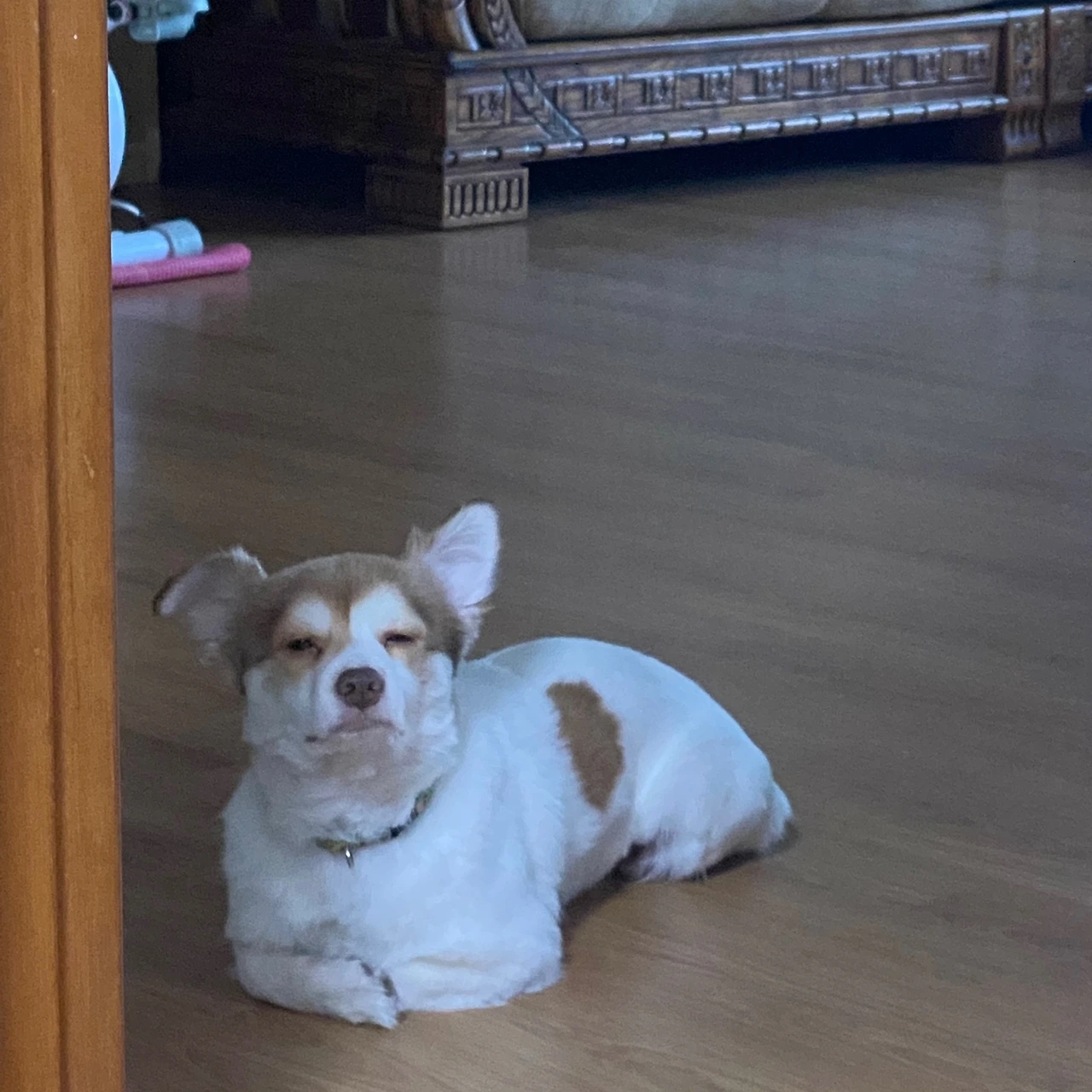 KakaoTalk_Photo_2023-03-02-20-38-55 008.jpeg