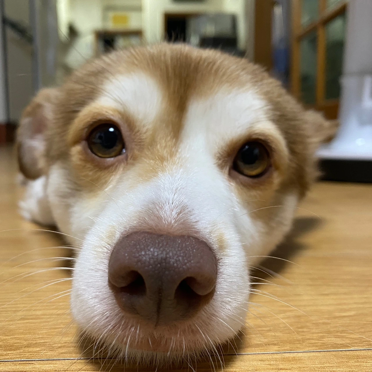 KakaoTalk_Photo_2023-03-02-20-38-54 004.jpeg