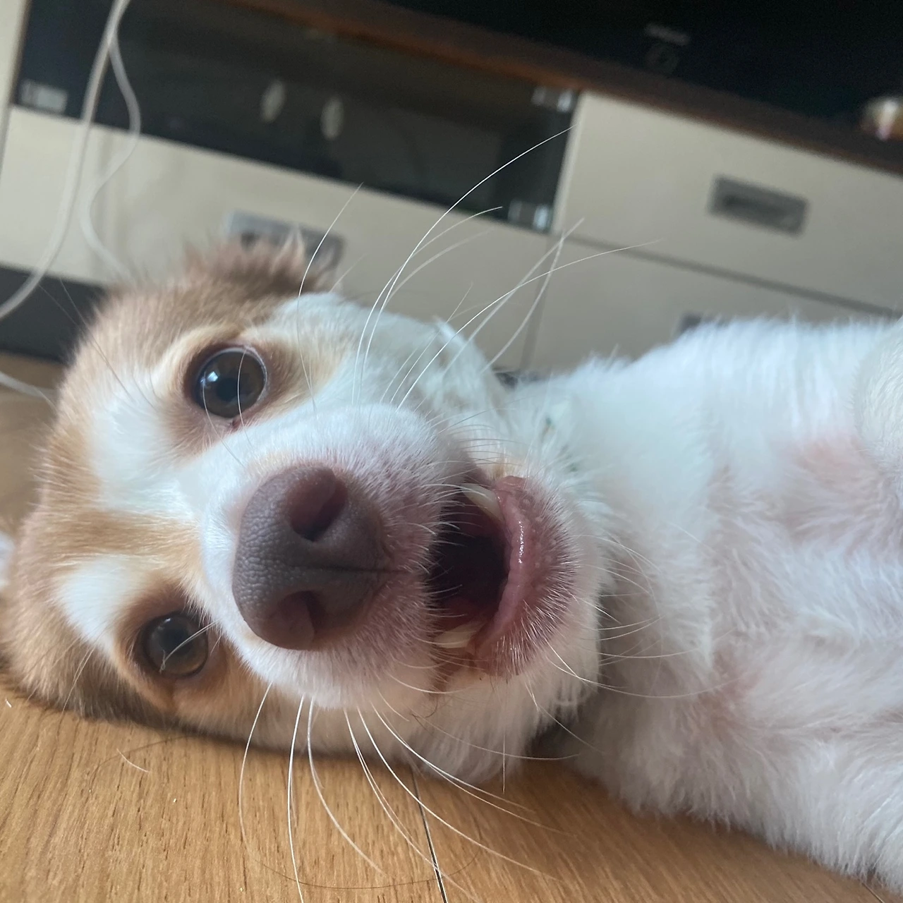 KakaoTalk_Photo_2024-09-20-11-45-49 011.jpeg