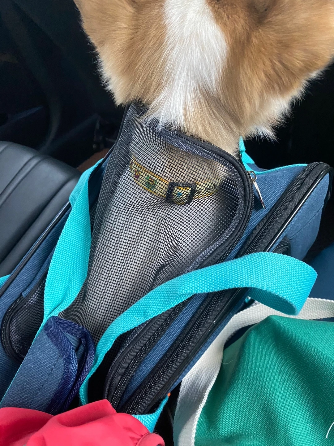 KakaoTalk_Photo_2024-09-20-11-45-49 007.jpeg