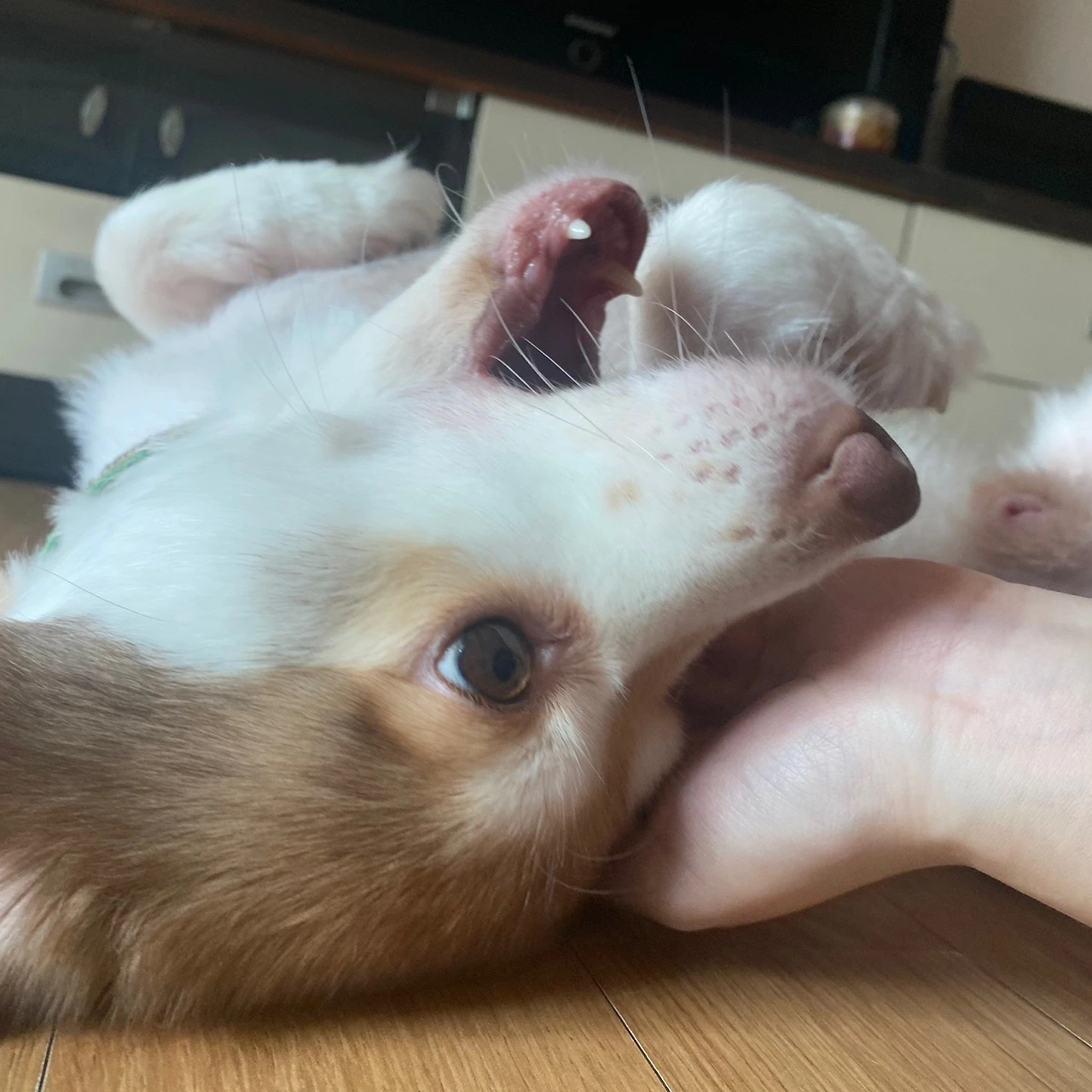 KakaoTalk_Photo_2024-09-20-11-45-49 009.jpeg