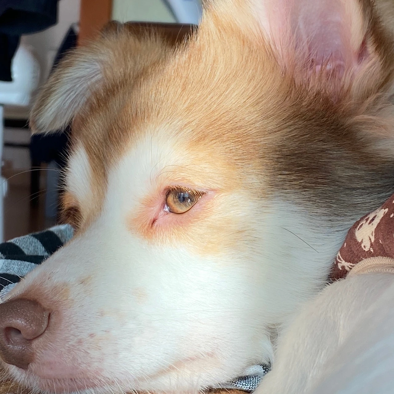 KakaoTalk_Photo_2023-03-02-20-38-54 002.jpeg