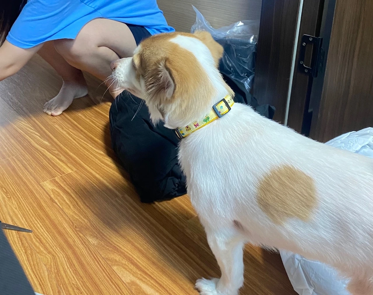 KakaoTalk_Photo_2024-09-20-11-45-48 006.jpeg