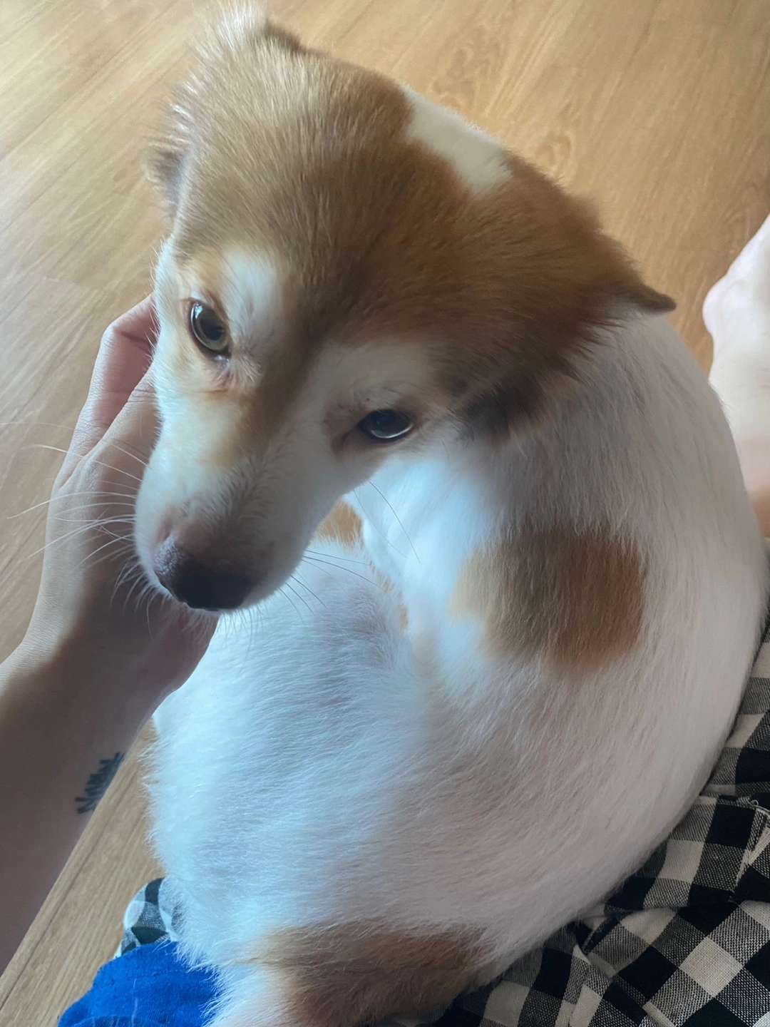 KakaoTalk_Photo_2024-09-20-11-45-49 013.jpeg