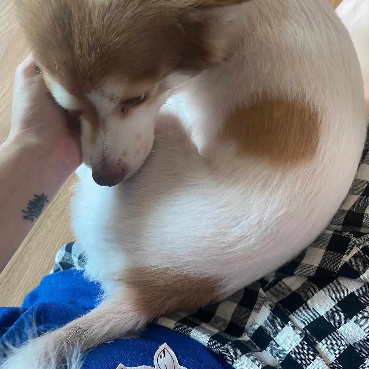 KakaoTalk_Photo_2024-09-20-11-45-49 014.jpeg