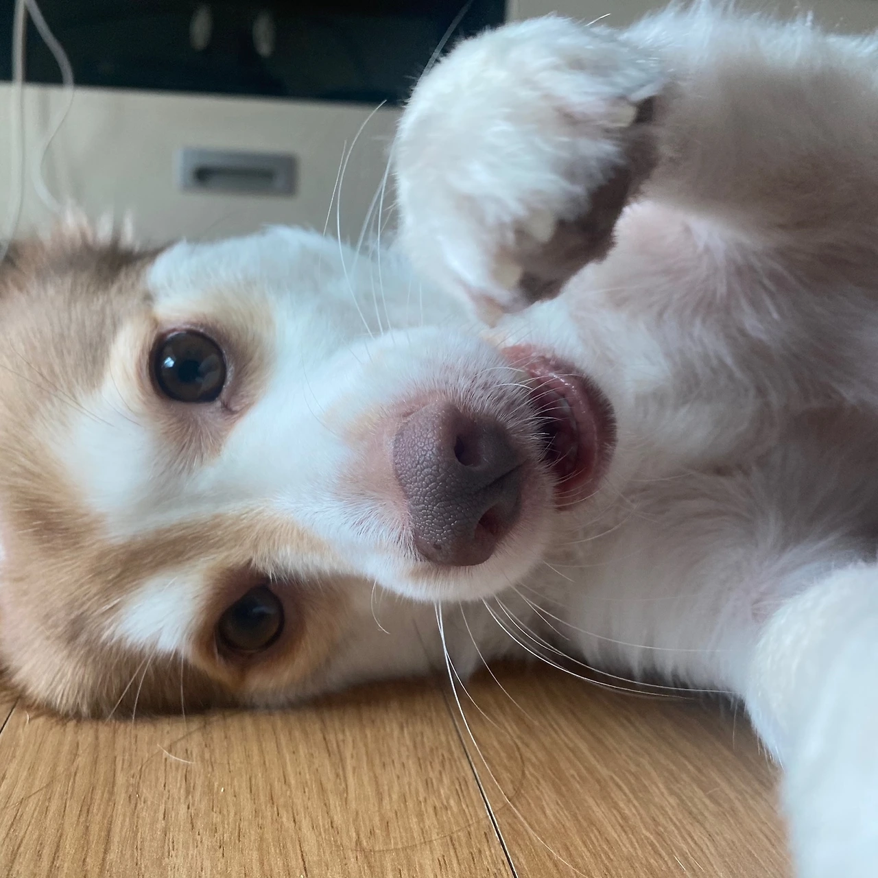 KakaoTalk_Photo_2024-09-20-11-45-49 012.jpeg