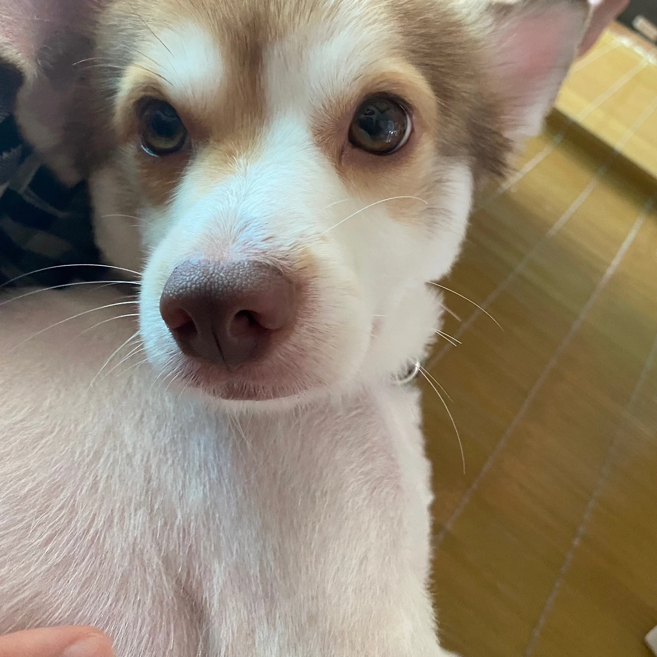 KakaoTalk_Photo_2023-03-02-20-38-54 003.jpeg