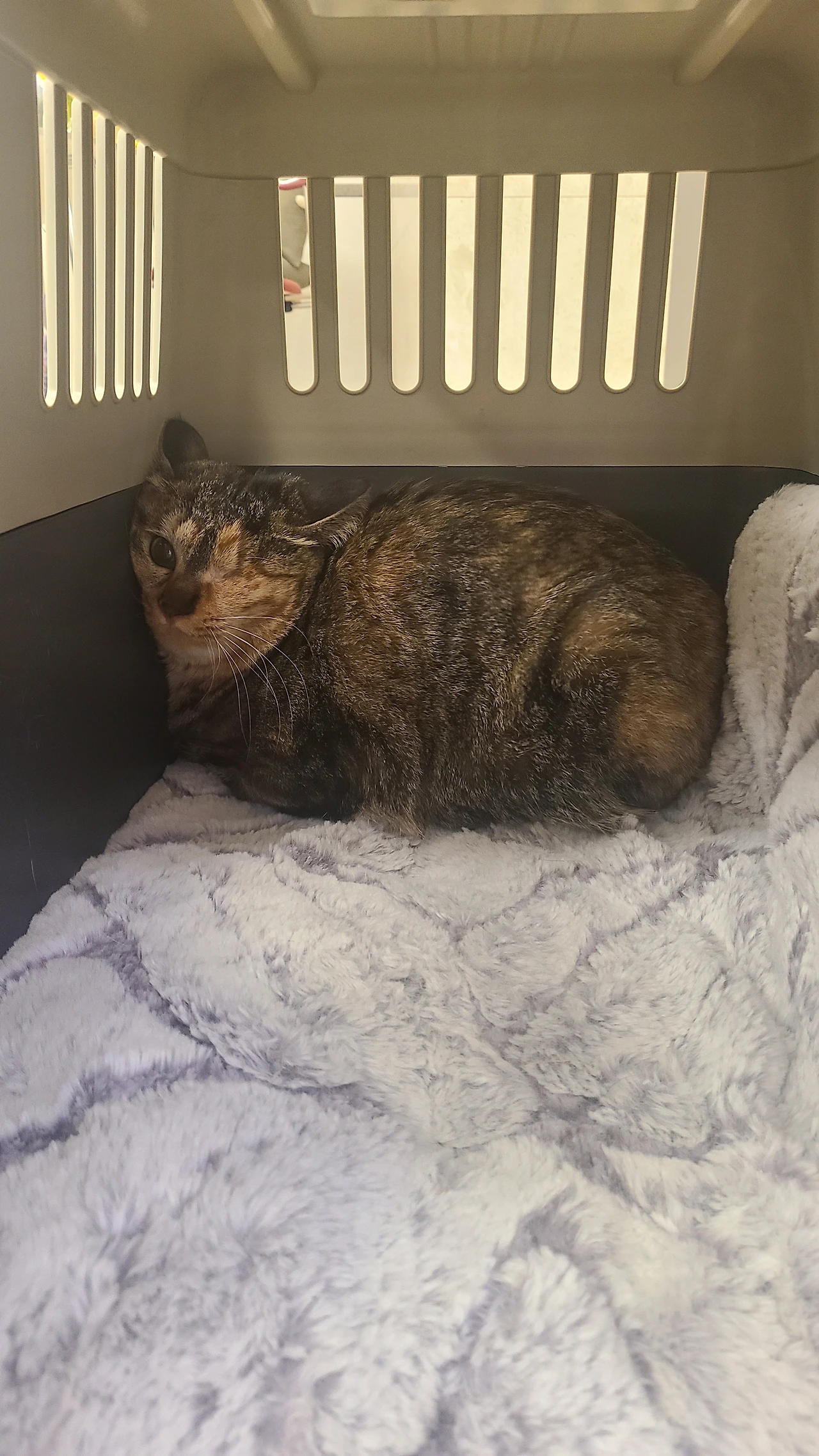 KakaoTalk_Photo_2025-02-03-22-58-18 001.jpeg