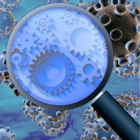 1528545-WHO-2019-nCoV-Country_IAR-2020.1-eng.png?itok=L2cJSt2c