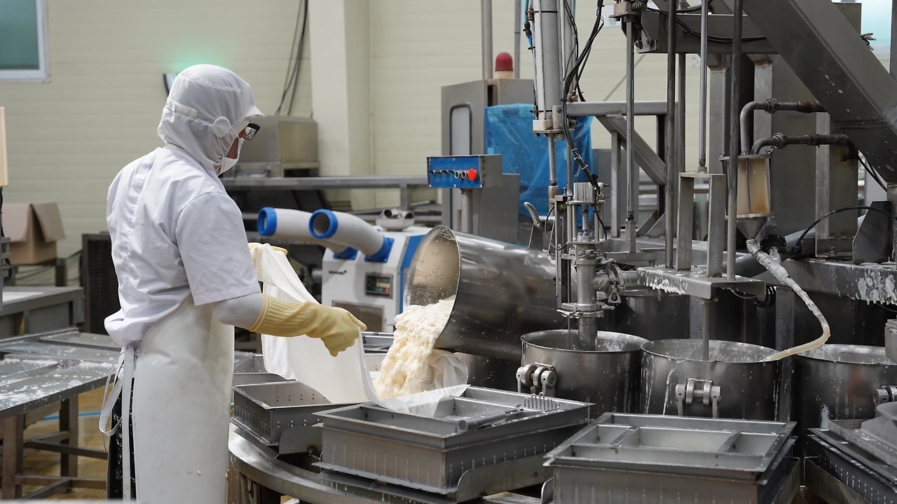 DSC03483_두부 굳히기.JPG