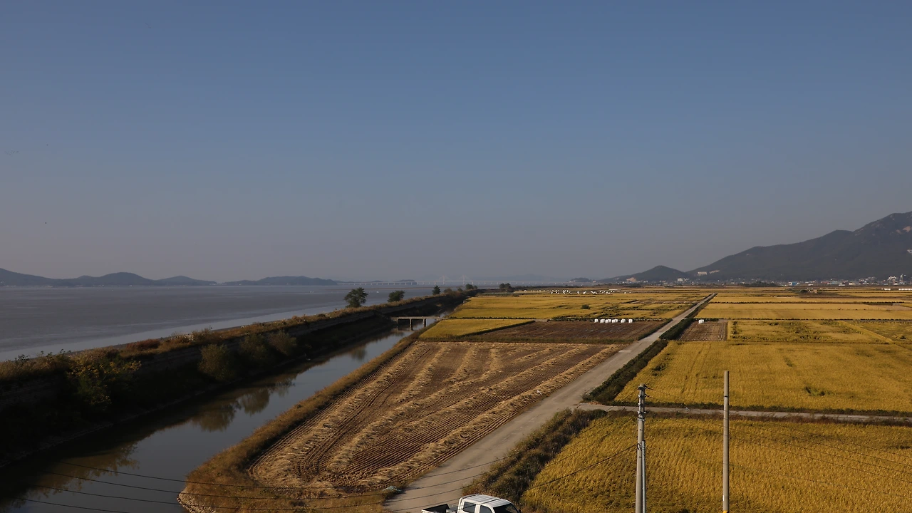 바다와 인접한 논_0S6A3201.JPG