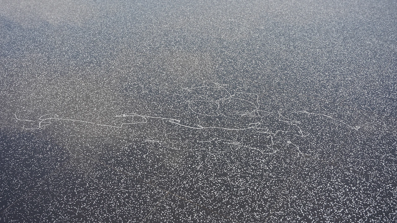 DSC01567_소금 결정.JPG