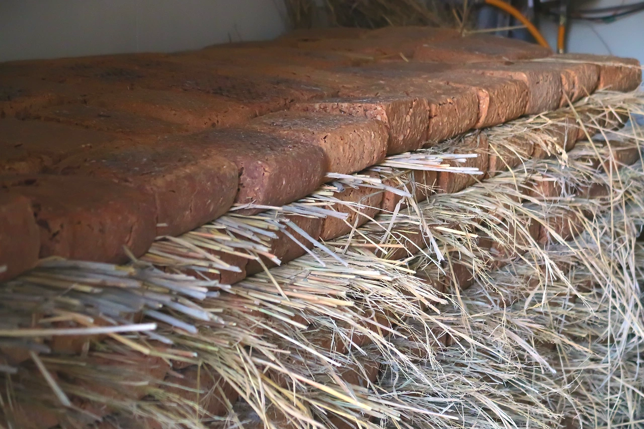 짚과 함께 발효 중인 메주8_IMG_3442.JPG