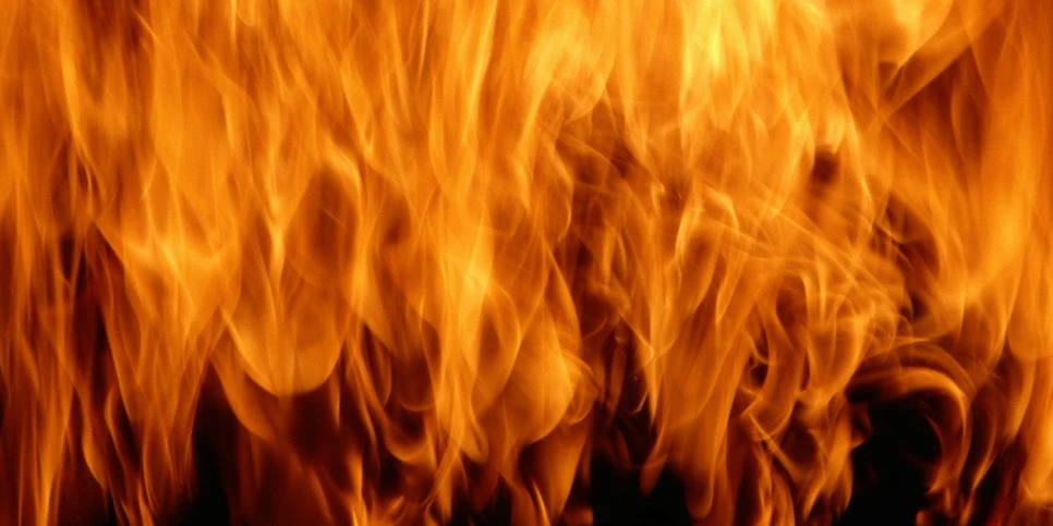 item_18296_pic_1_orig.jpeg?type=w966