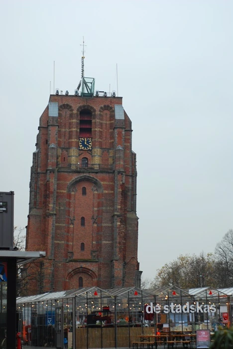 DSC_0157.JPG?type=w773