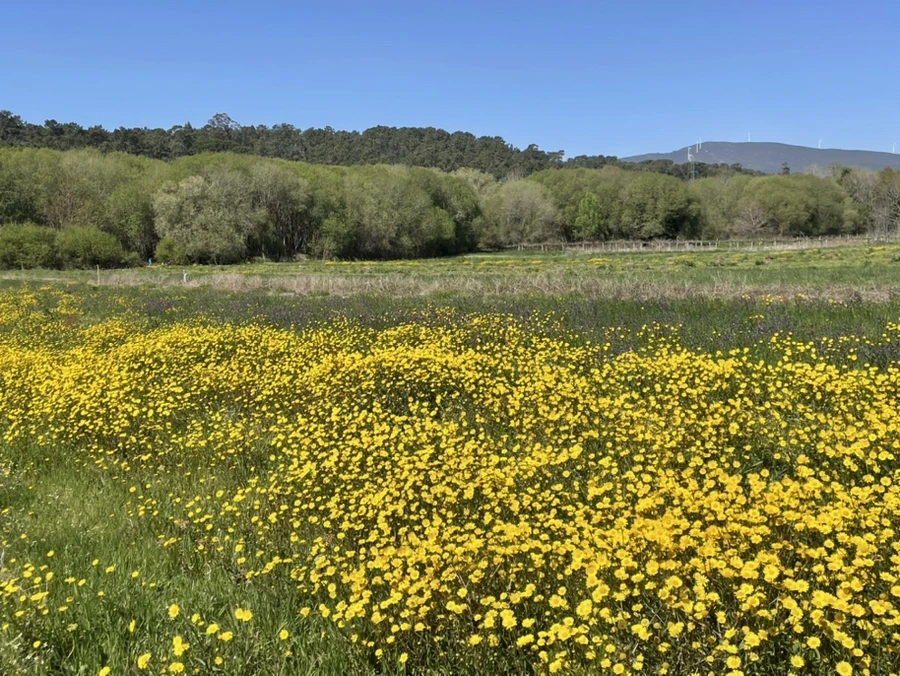 IMG_9664.jpg?type=w966