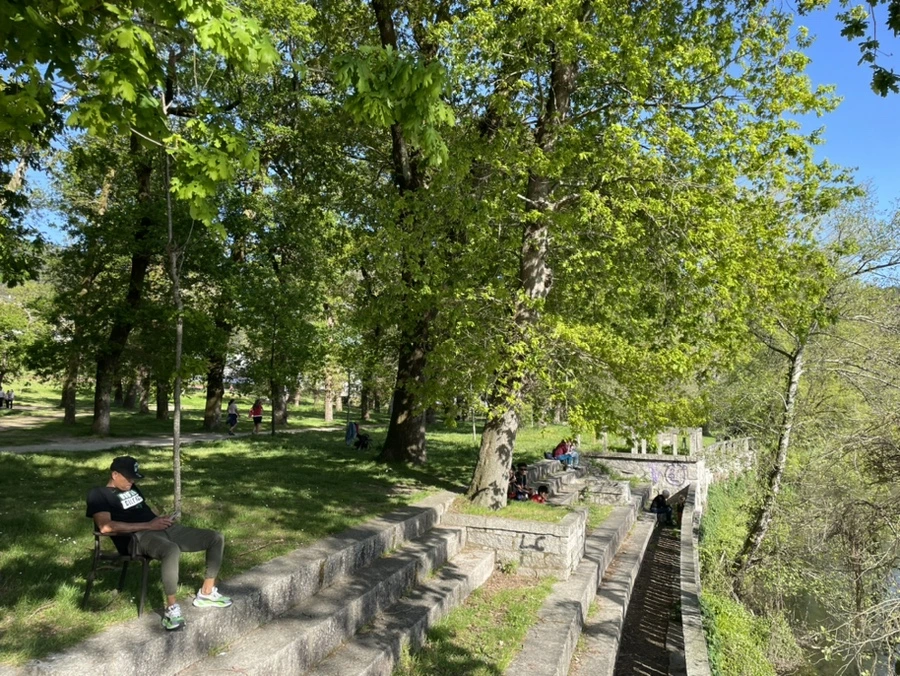 IMG_9708.jpg?type=w966