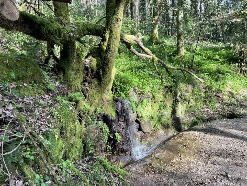 IMG_9759.jpg?type=w966