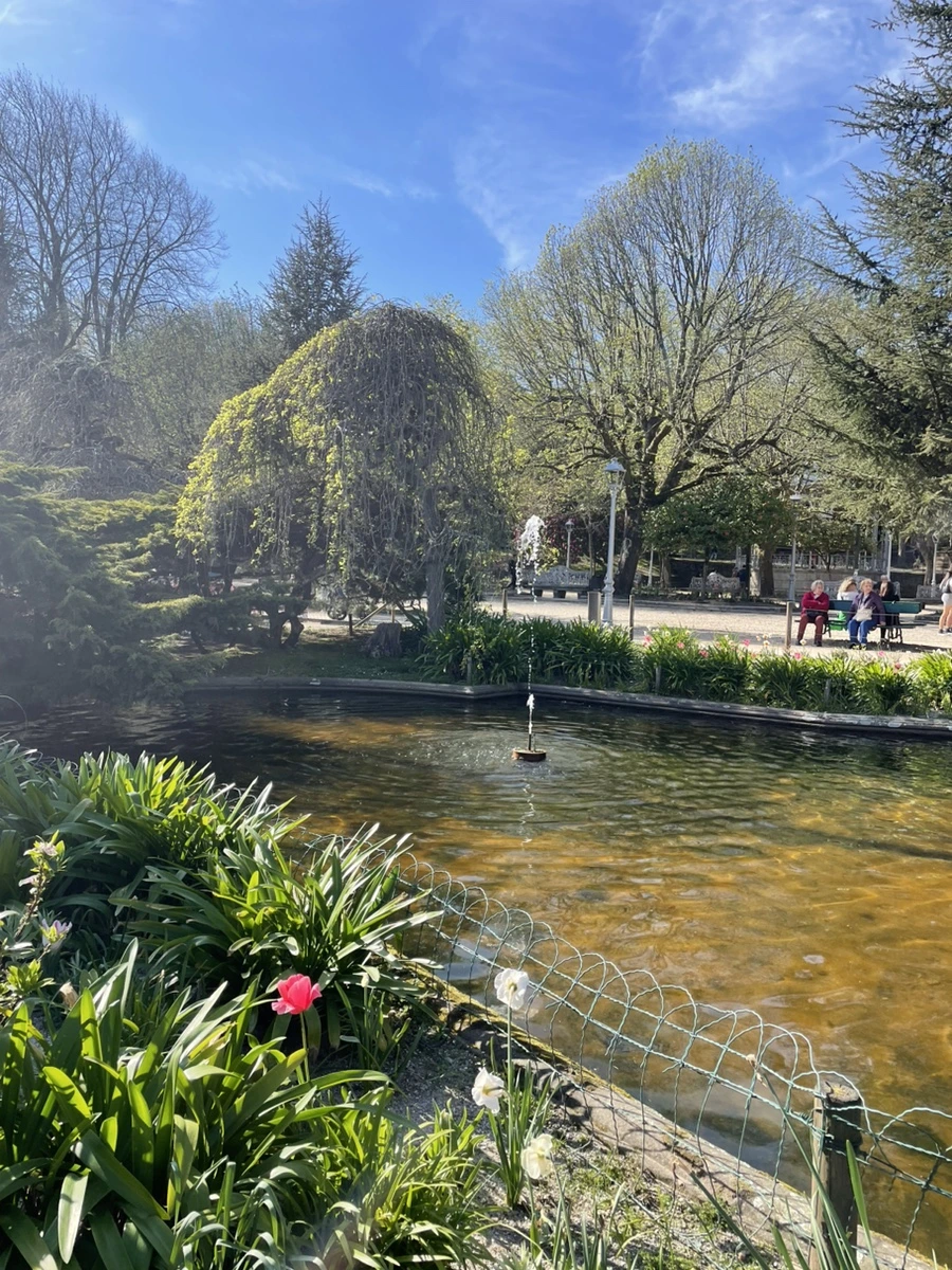 IMG_9931.jpg?type=w966