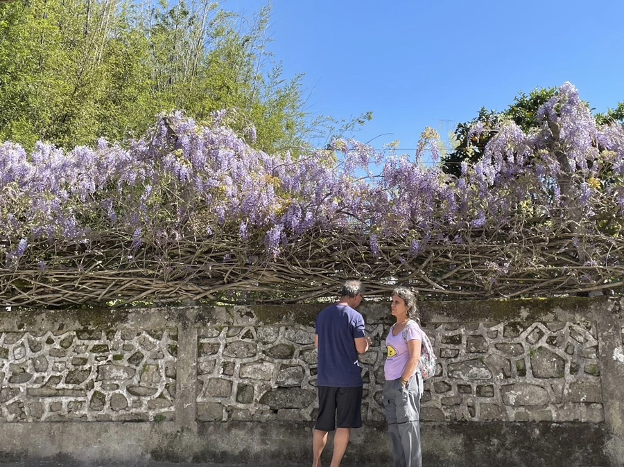 output_3090628710.jpg?type=w966