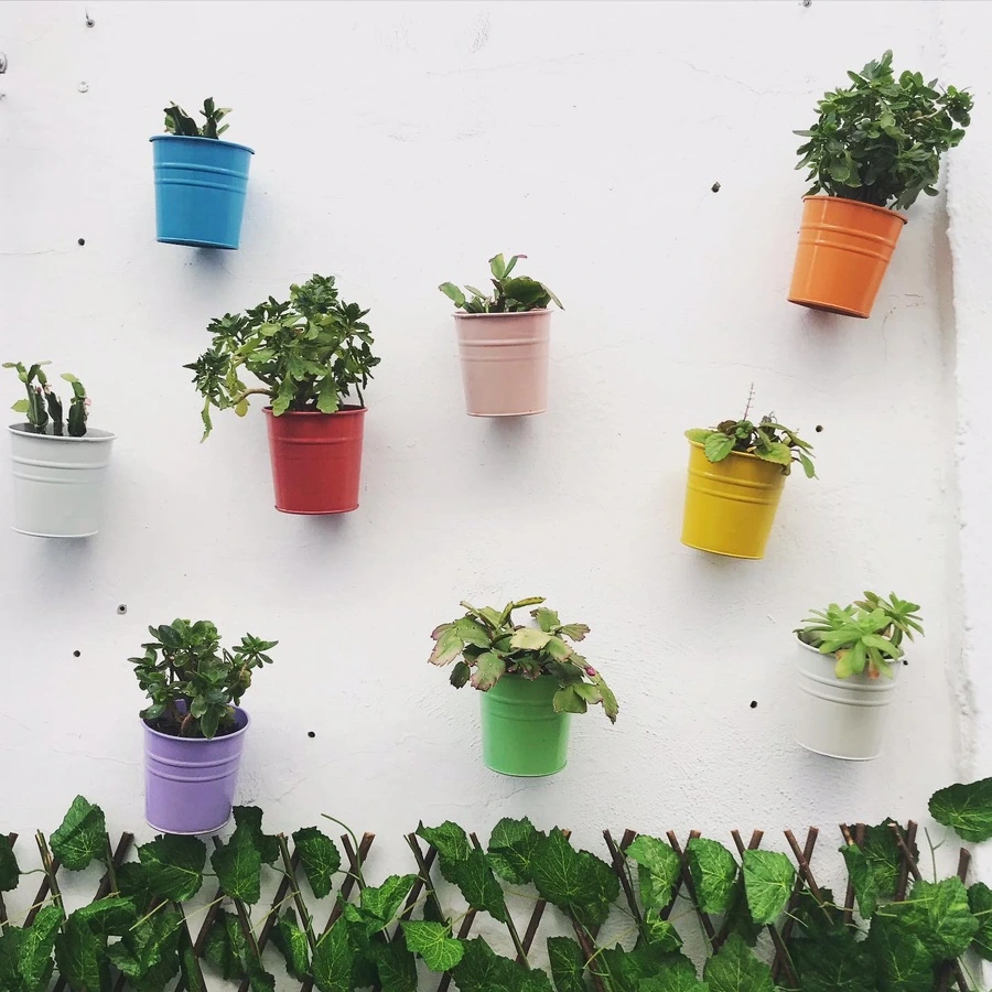 2CFA1619-30D5-43E4-9555-CBBDC3103790.jpg?type=w1