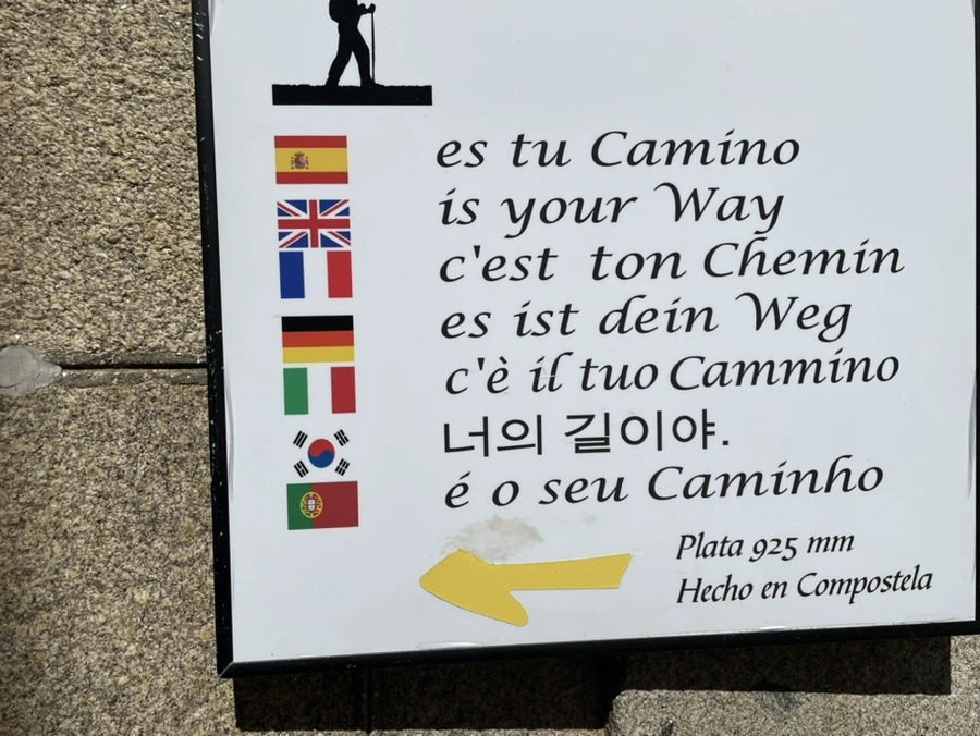 IMG_9995.jpg?type=w966