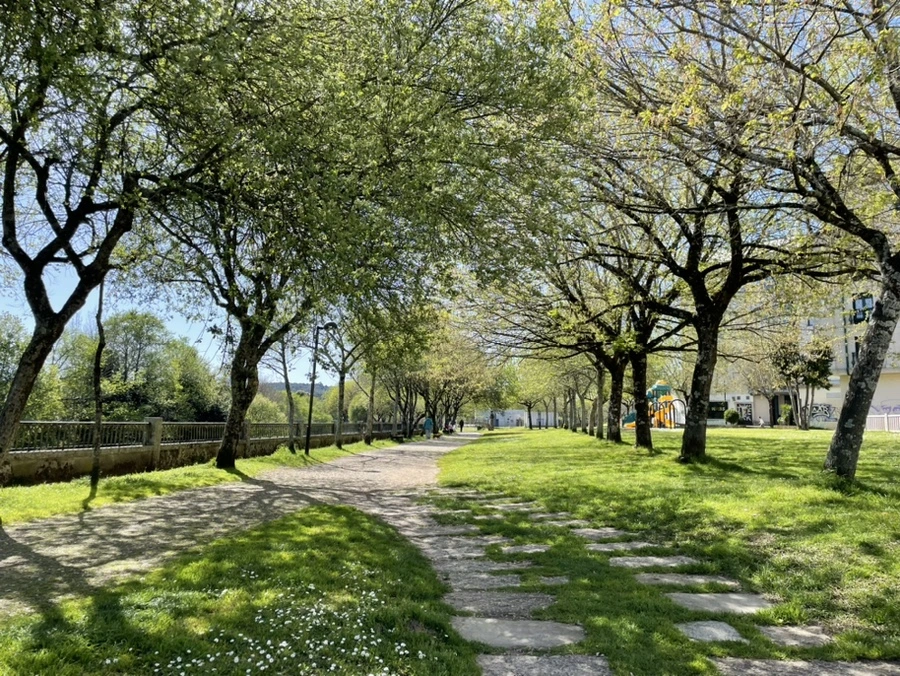 IMG_9678.jpg?type=w966